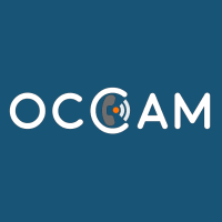 Product: Occam Migration Testing & Automation